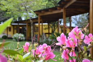 A building with a wooden structure and a yellow facade. - Pousada Borô (Gramado)