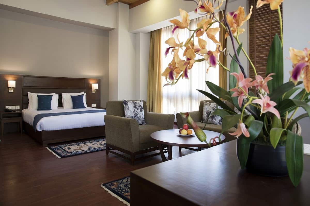 A hotel room with a bed, a sofa, a small table with fruit, and a potted orchid.