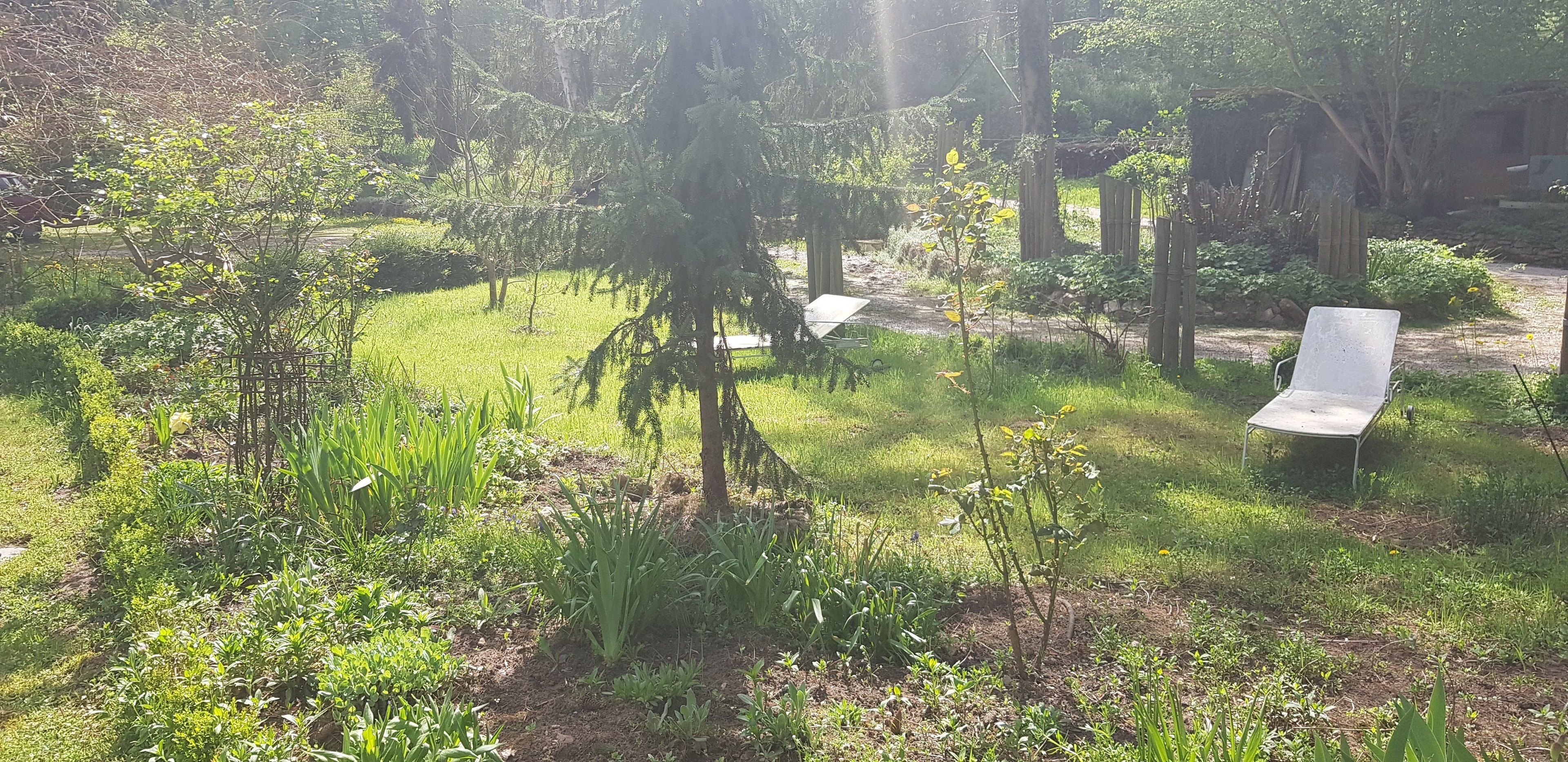 A garden with various plants and a white chair.