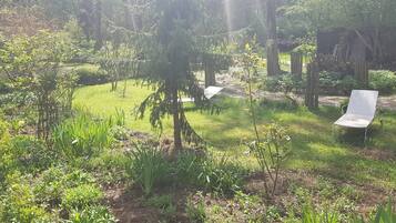 A garden with various plants and a white chair.