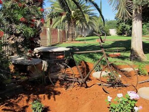 Garden - One Fountain B&B (Dikgatlong)