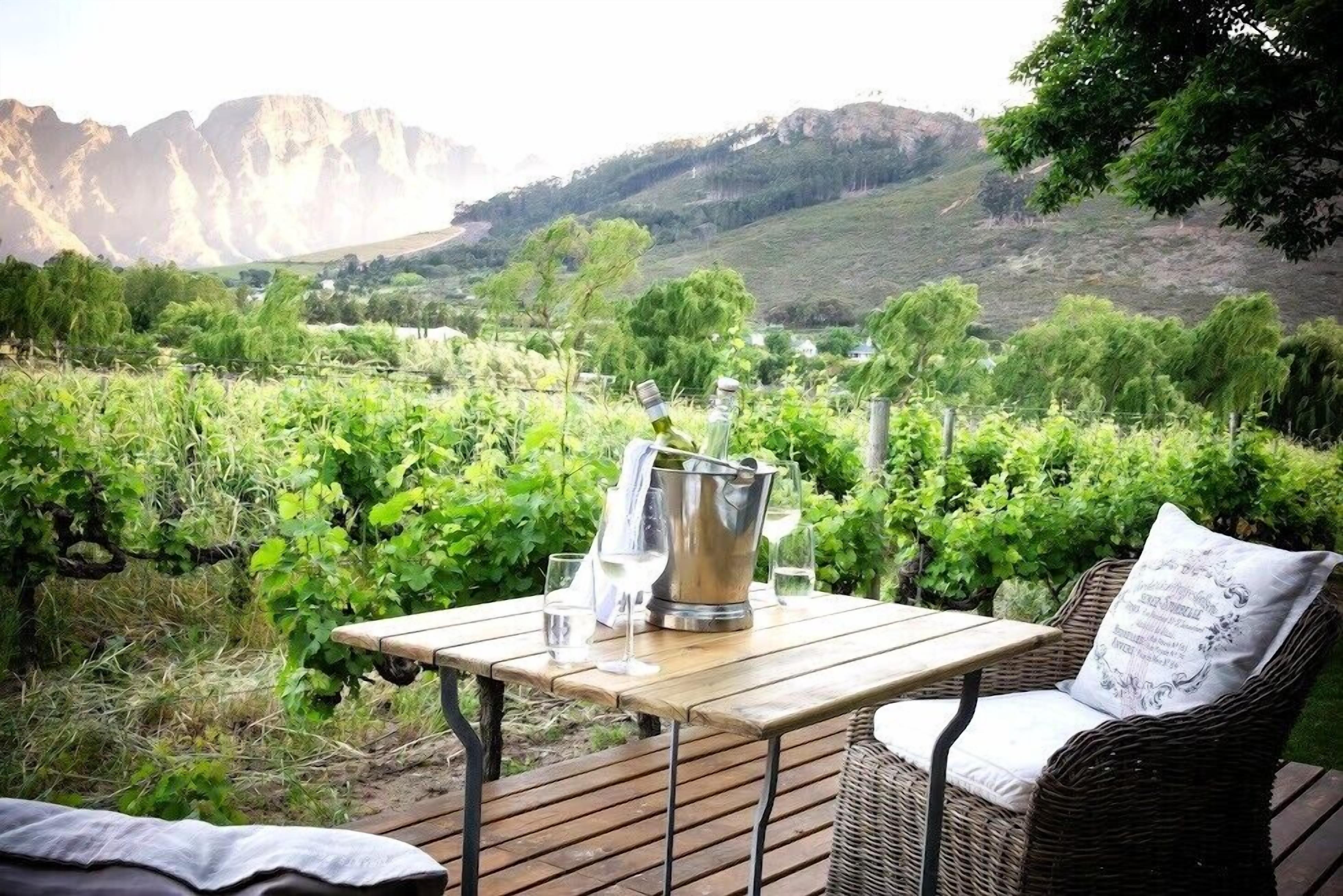 Executive Double Room | Vineyard view