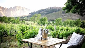 A wooden deck with a table and wicker chair, overlooking a vineyard and mountains. - Owner's Cottage at Grande Provence (Franschhoek)