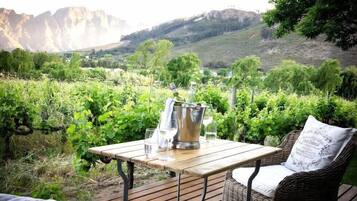 Executive Double Room | Vineyard view