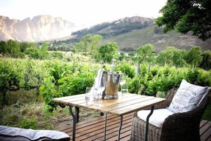 Vineyard view