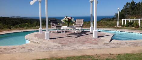 Outdoor pool, sun loungers