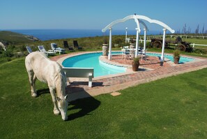 Una piscina al aire libre, tumbonas