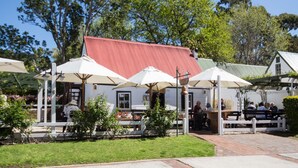 Een terras met witte tafels en parasols, omringd door groen en bomen.