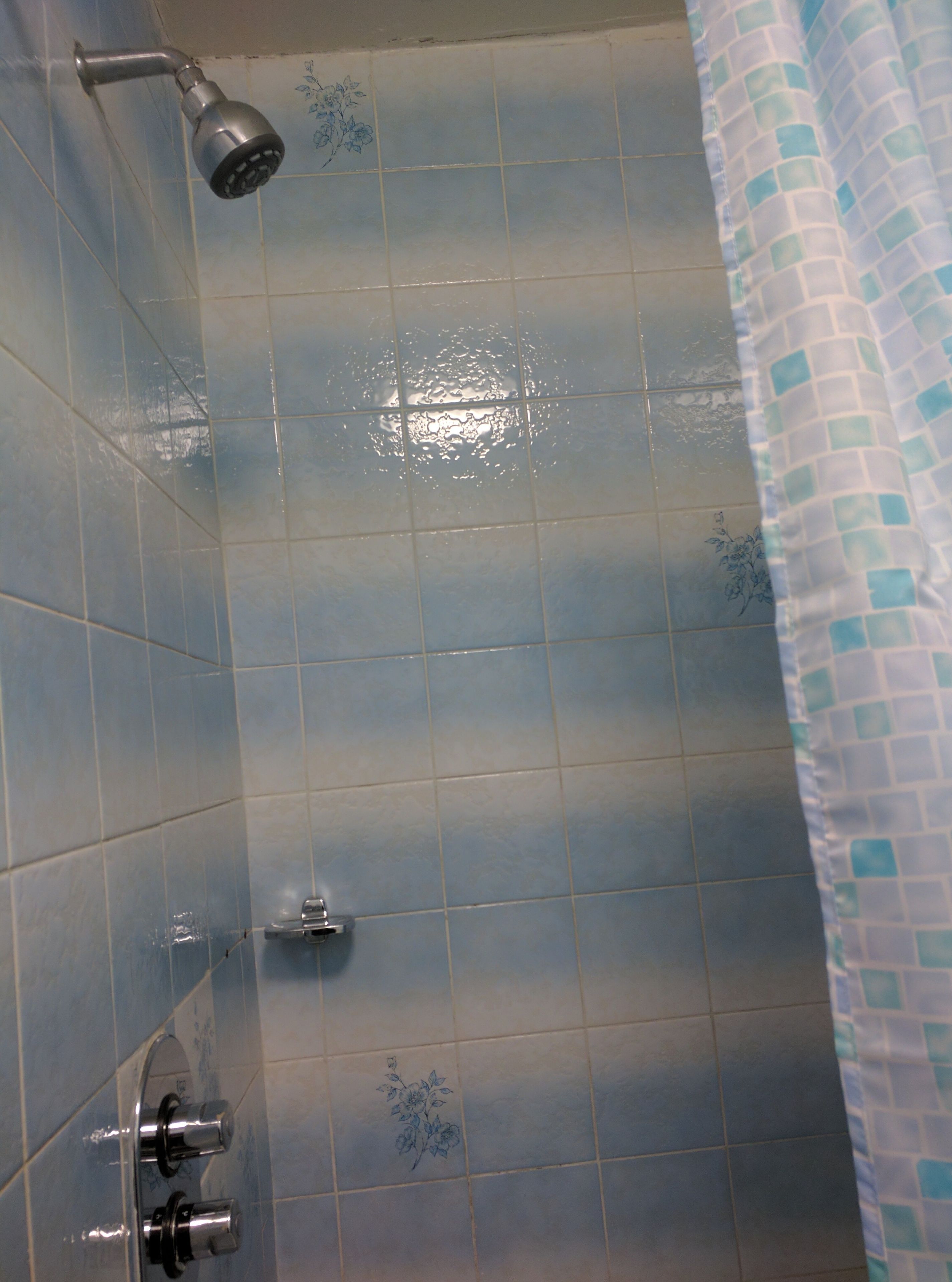 A shower area with blue tiles and a showerhead.