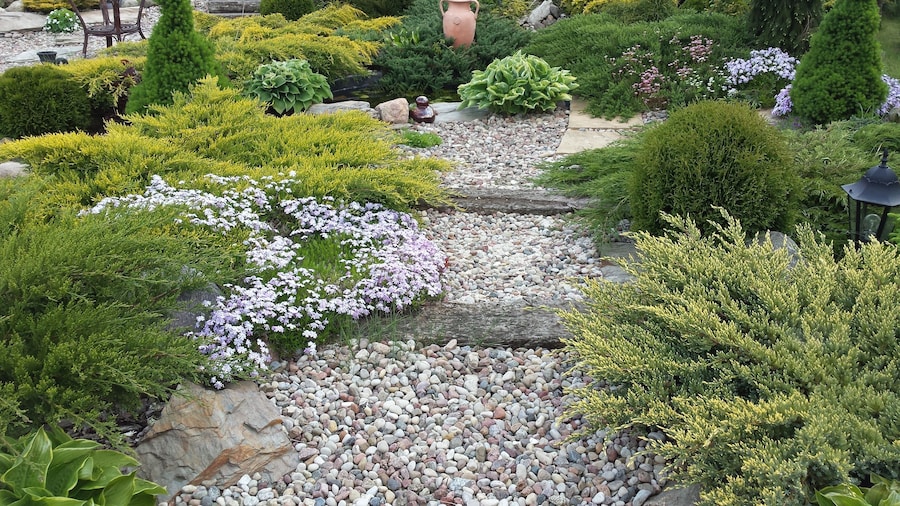 Pokoje GoĆcinne Magnolia