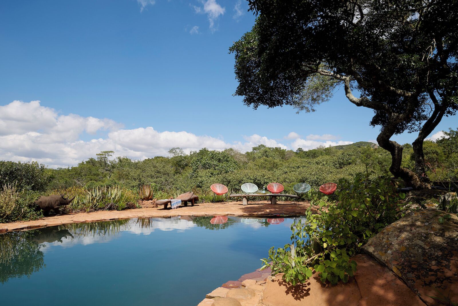 A natural pool with a wooden bench and a tree, surrounded by greenery and a clear sky.