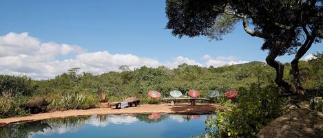 A natural pool with a wooden bench and a tree, surrounded by greenery and a clear sky.
