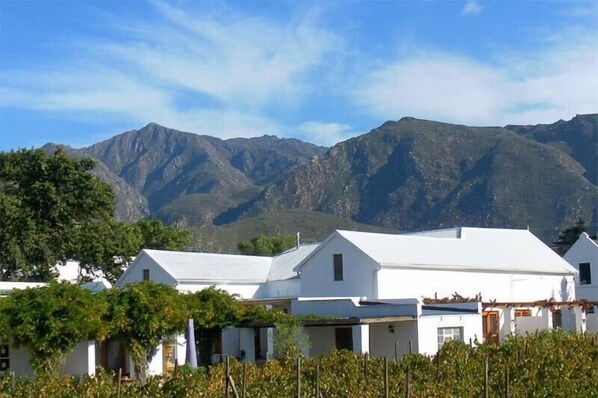 A row of white buildings with flat roofs, surrounded by greenery and mountains in the background. - The Vineyard Country House (Montagu)