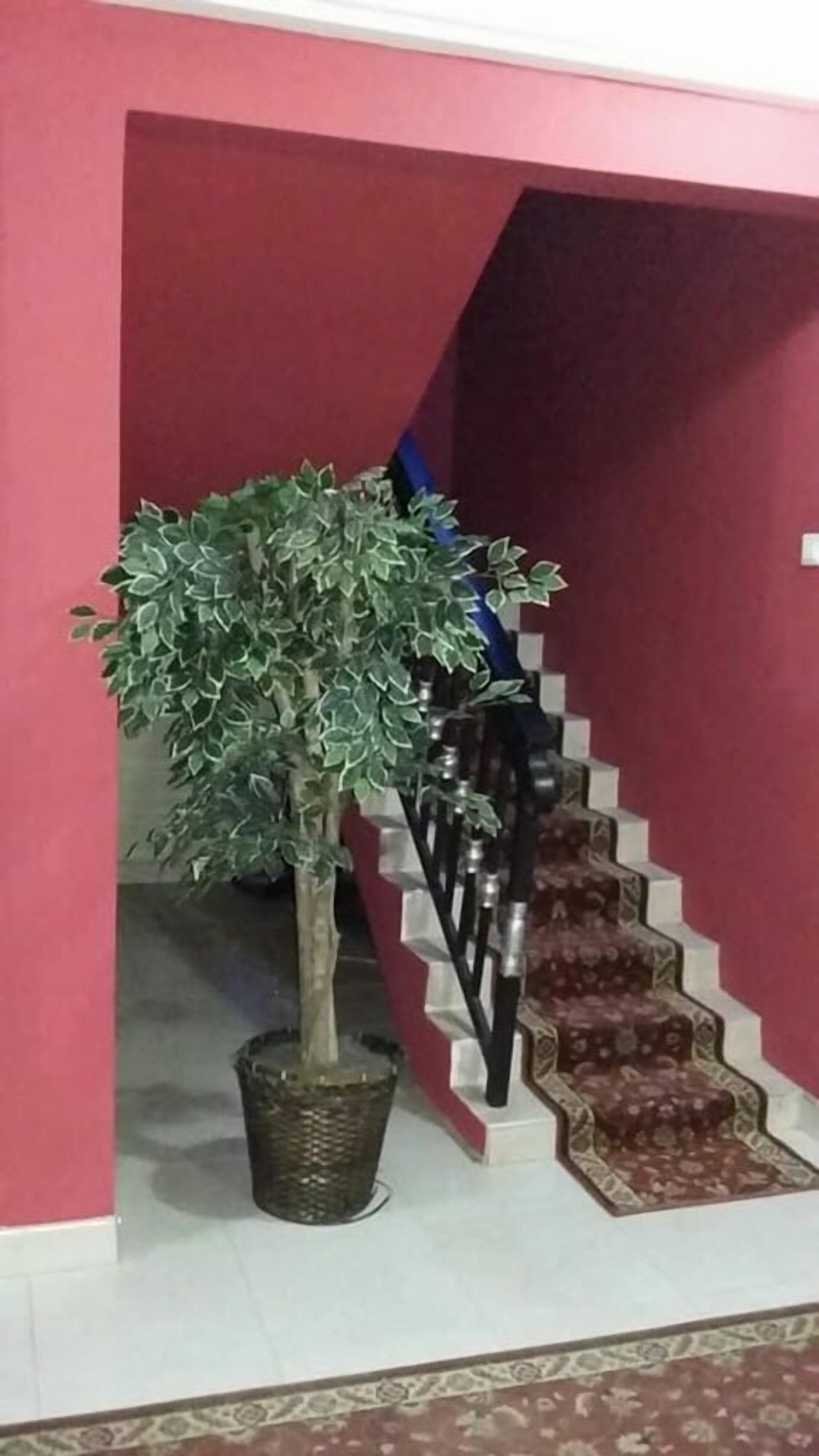 Una escalera con alfombra roja y una planta en maceta a un lado.
