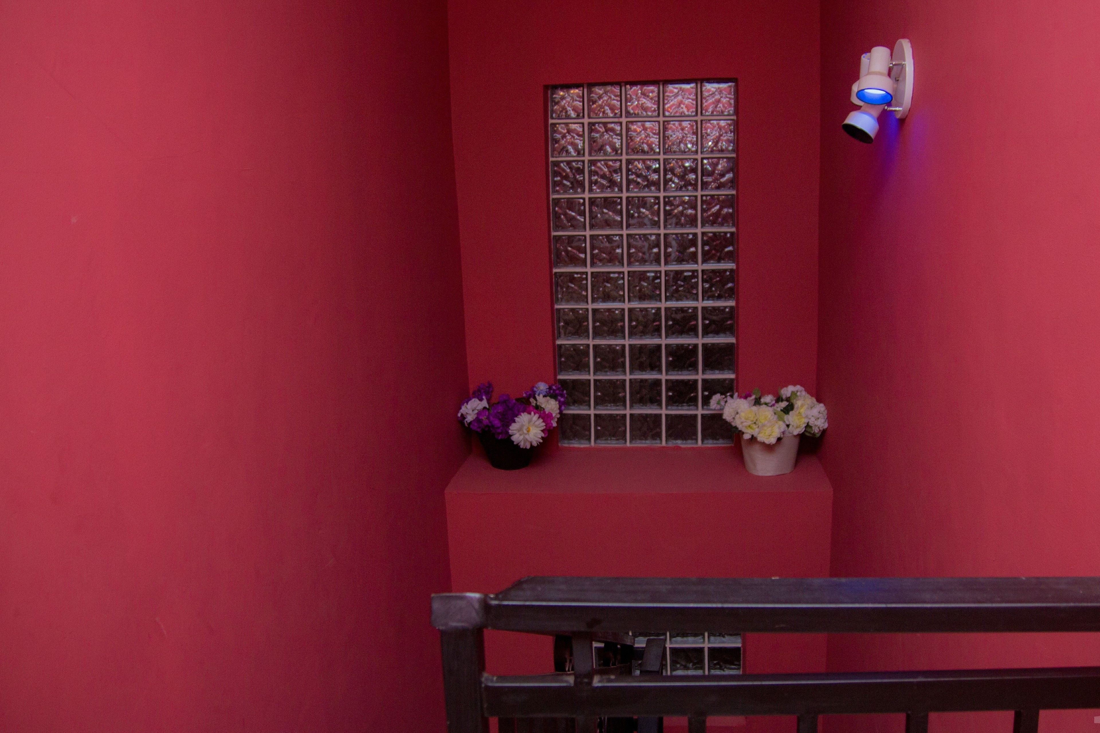 Una pared roja con una ventana, dos macetas y una cámara de seguridad.