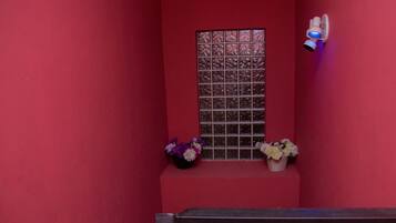 Una pared roja con una ventana, dos macetas y una cámara de seguridad.