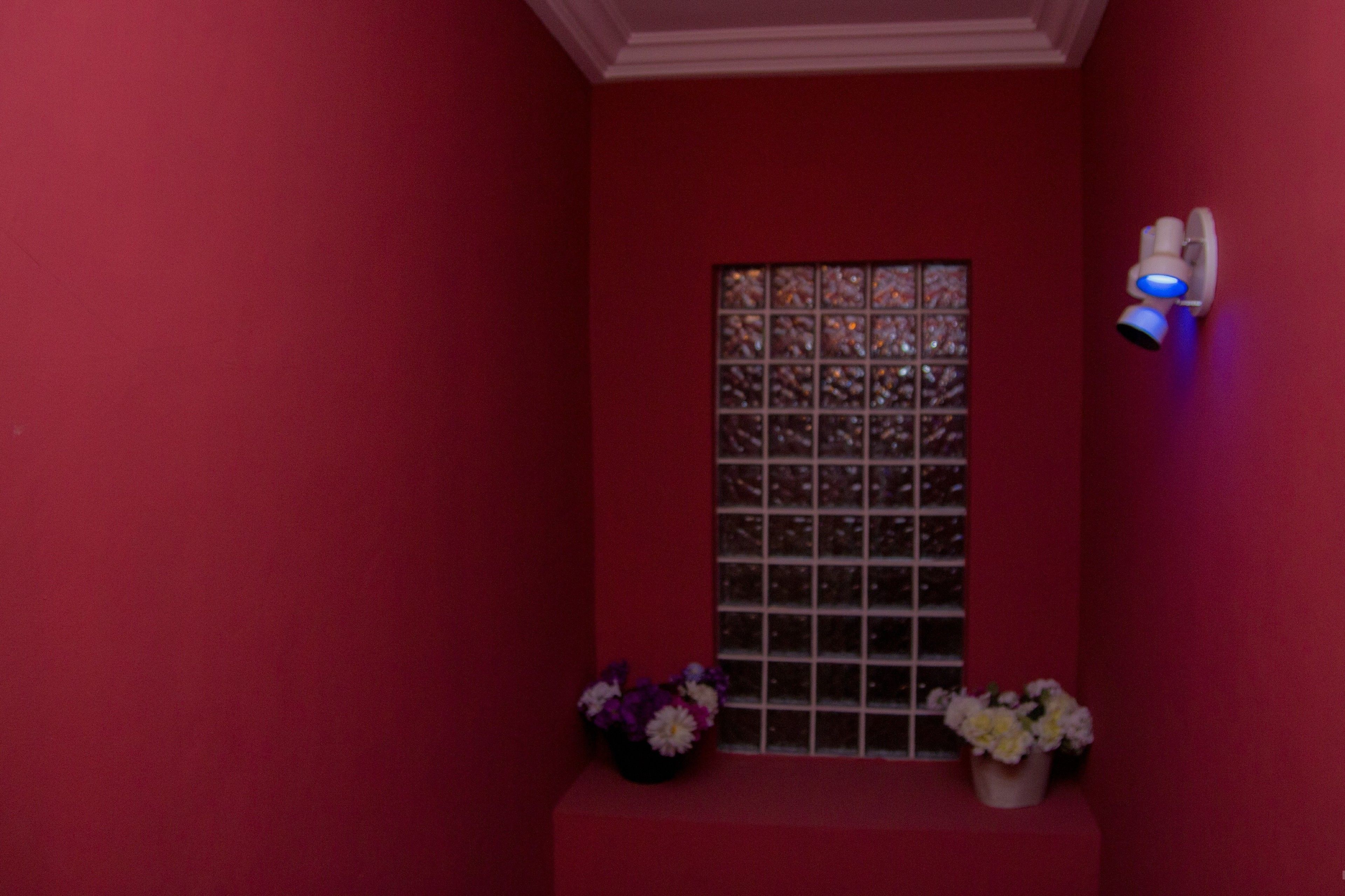 A red-walled room with a window featuring a grid pattern, two flower pots on the windowsill, and a wall-mounted light fixture with a blue light.