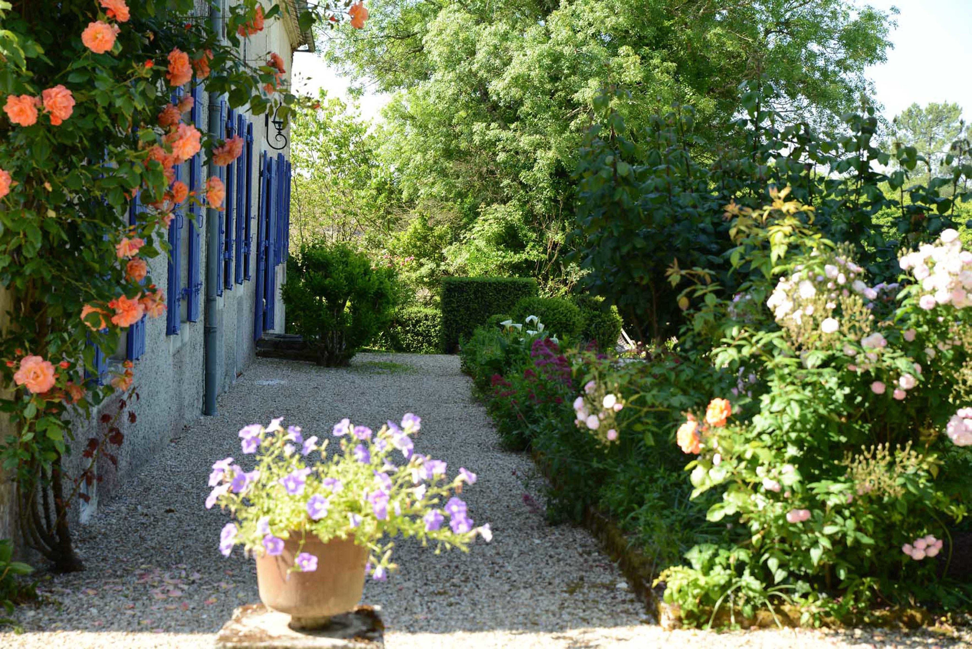 Een tuinpad met grind, omringd door weelderig groen en bloeiende planten.