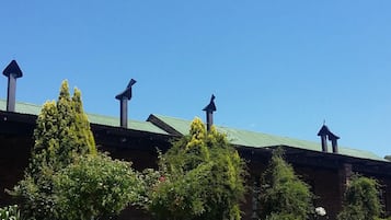 Ulkopuoli