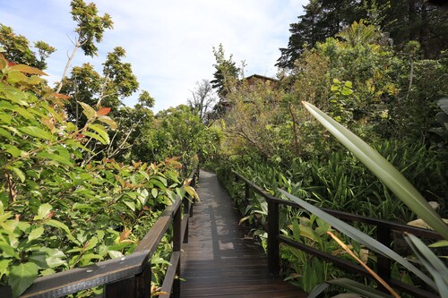 Big Tree House Lodge