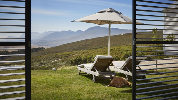 A view through a window with a metal frame, featuring a lawn chair and umbrella, a dog, and a mountainous landscape in the background. - HaesFarm (Stanford)