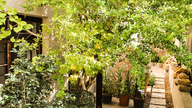 A garden area with potted plants and a stone pathway. - Wessels House Studio (Cape Town)