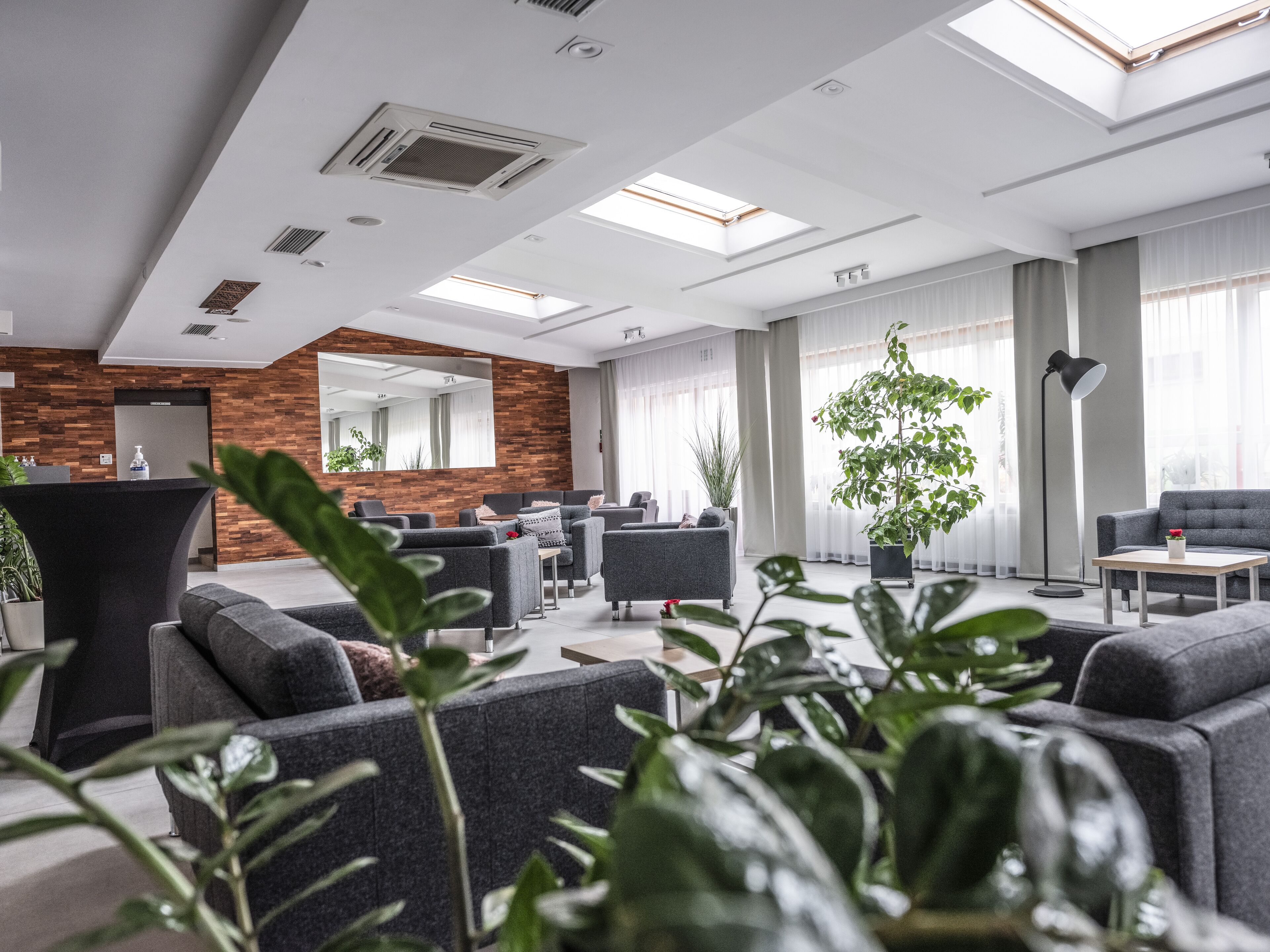 テラス / パティオ