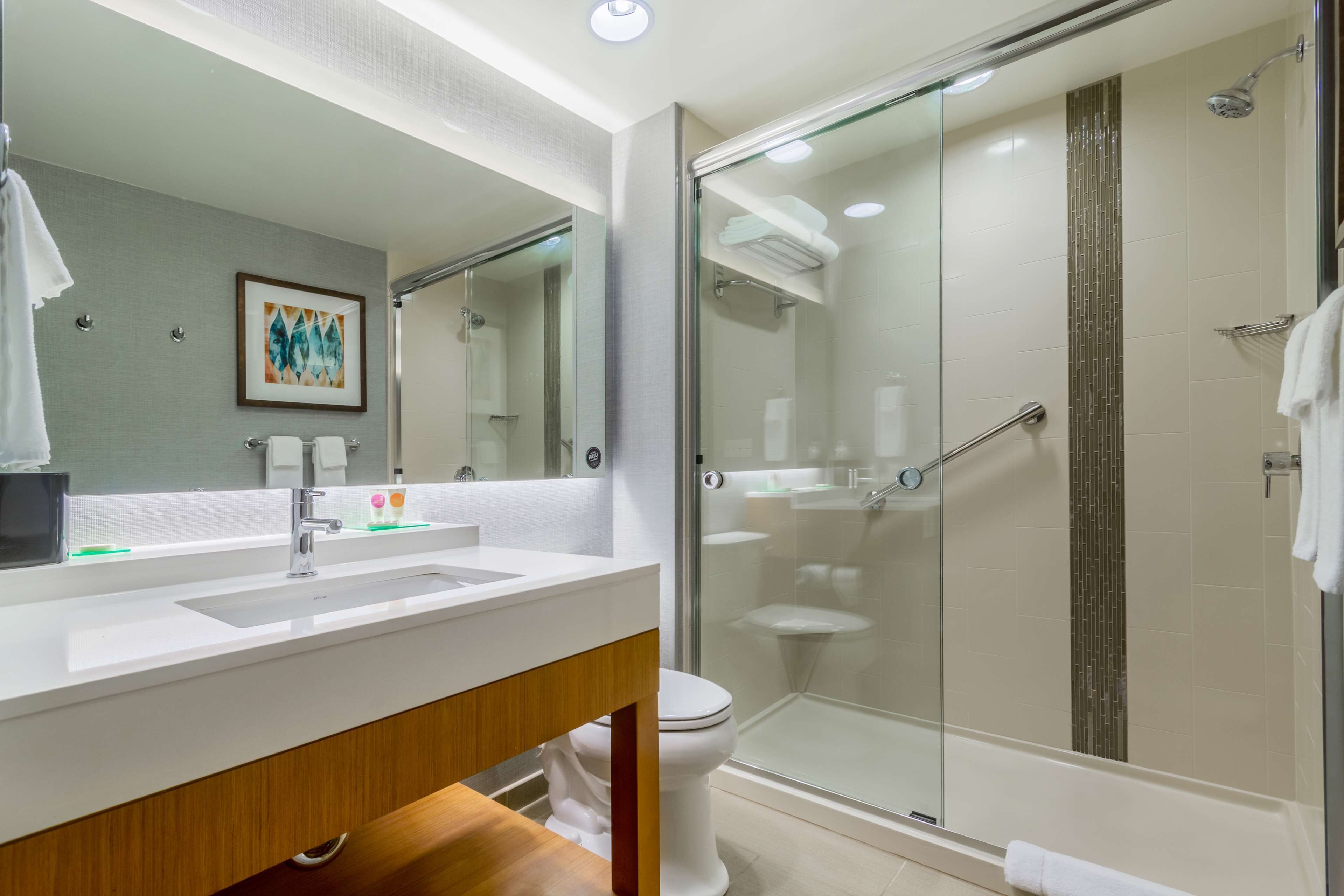 designer toiletries, hair dryer, towels