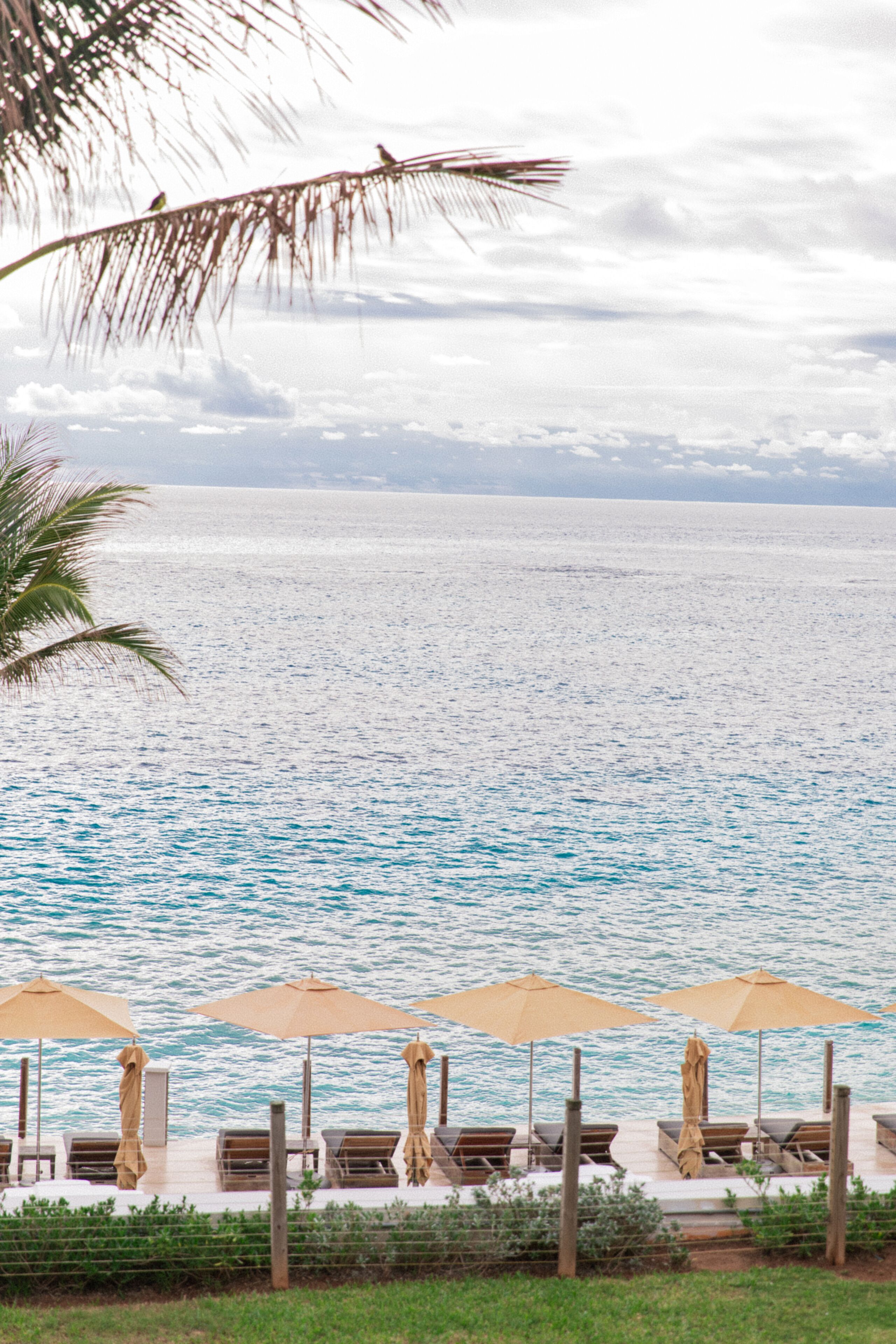 A beachside lounge with sun loungers and umbrellas, overlooking the ocean.