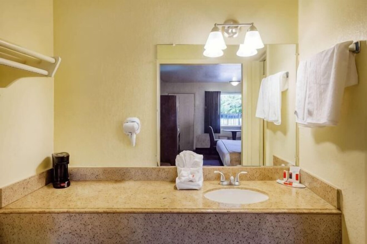 A bathroom with a sink, mirror, towel rack, and a towel on the counter.