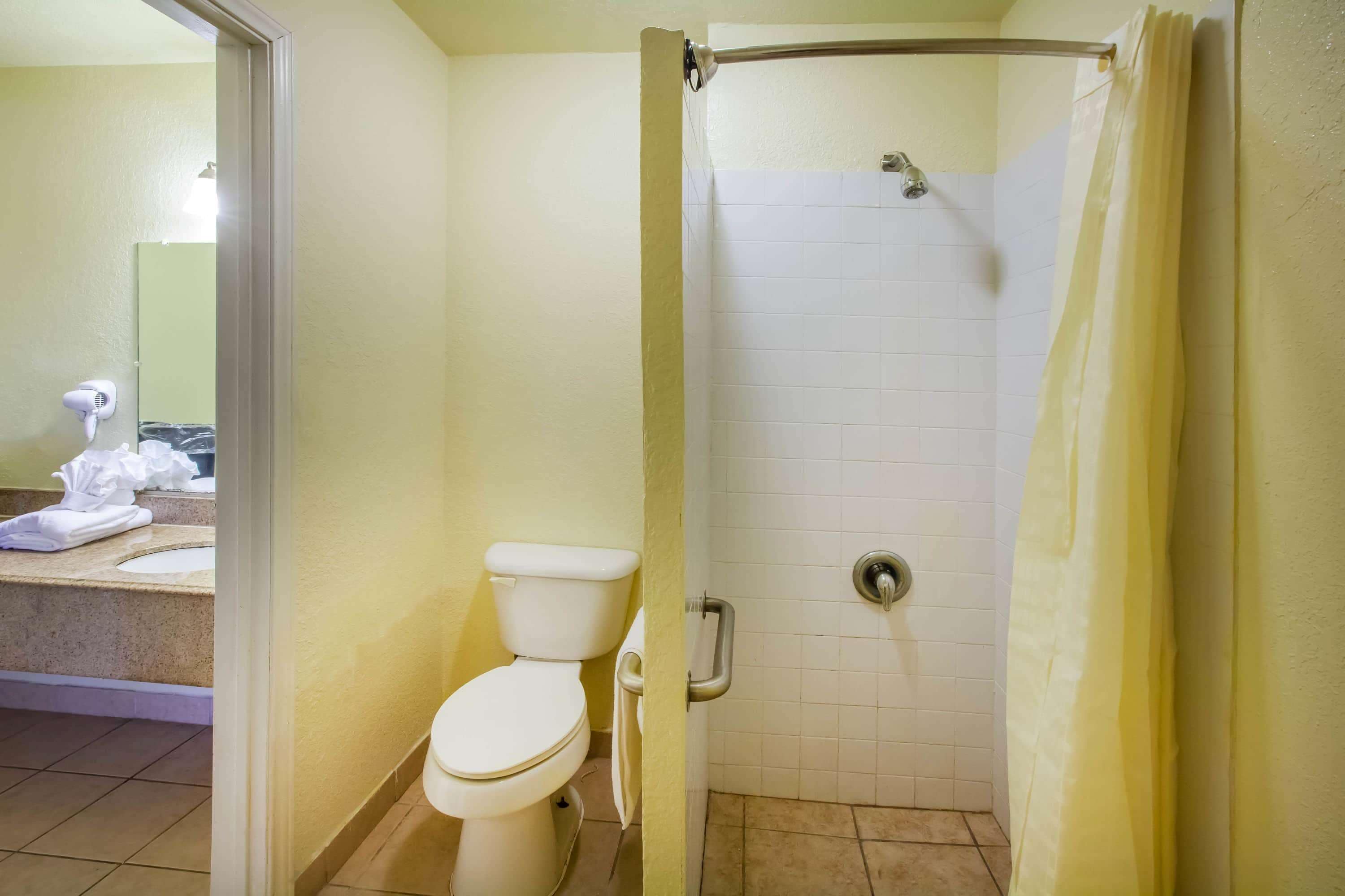 combined shower/bathtub, free toiletries, hair dryer, towels