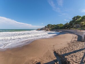Playa en los alrededores 