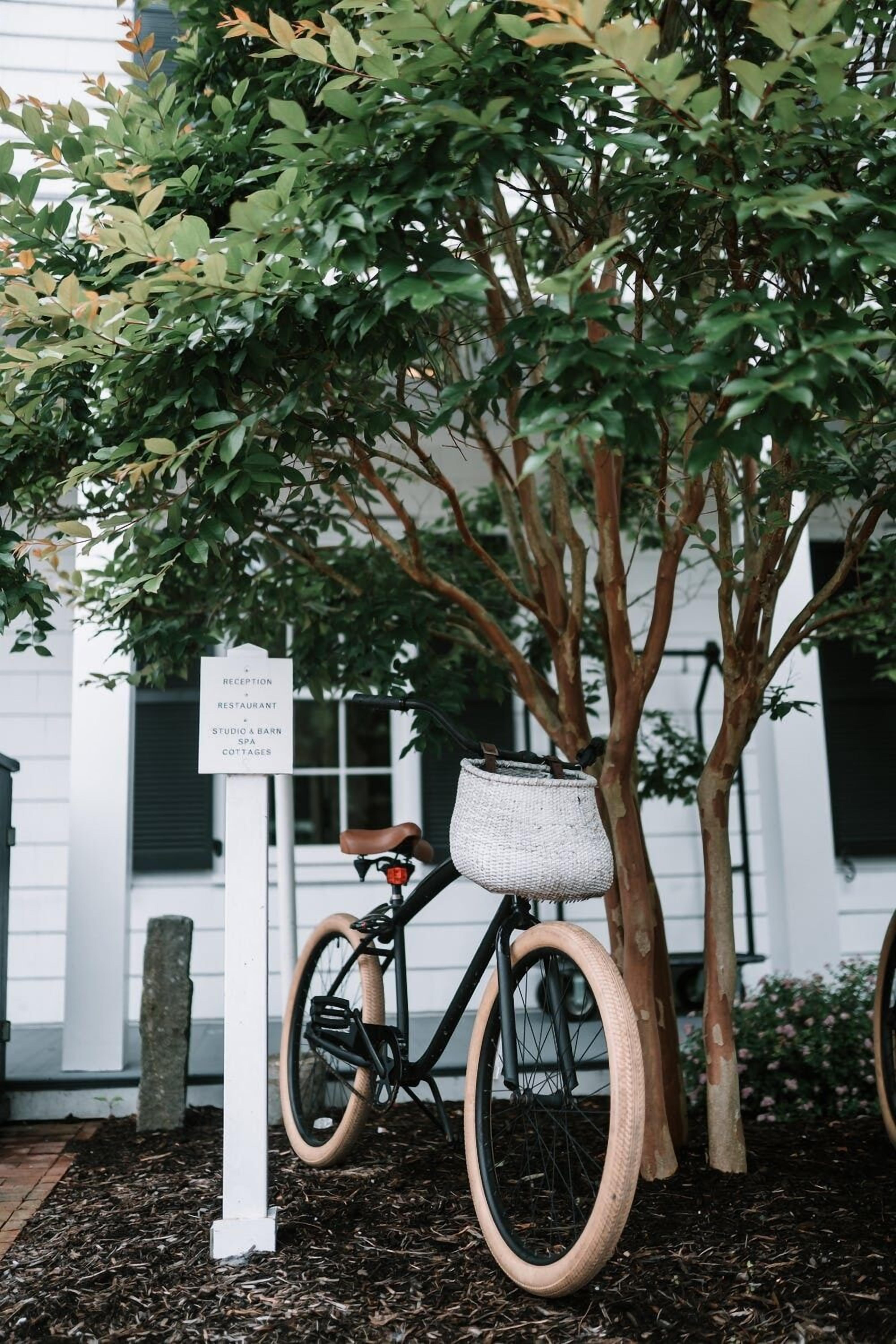 A bicycle with a basket parked under a tree, a sign indicating a reception, restaurant, studio, barn, and cottages, and a building with white walls and black shutters in the background.