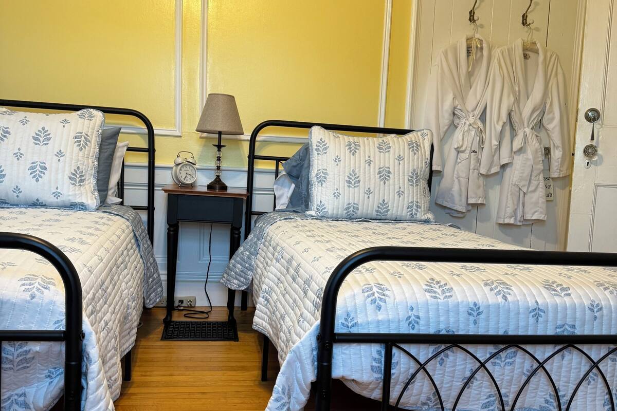 A bedroom with two beds, a nightstand with a lamp, and a door with robes hanging on it.