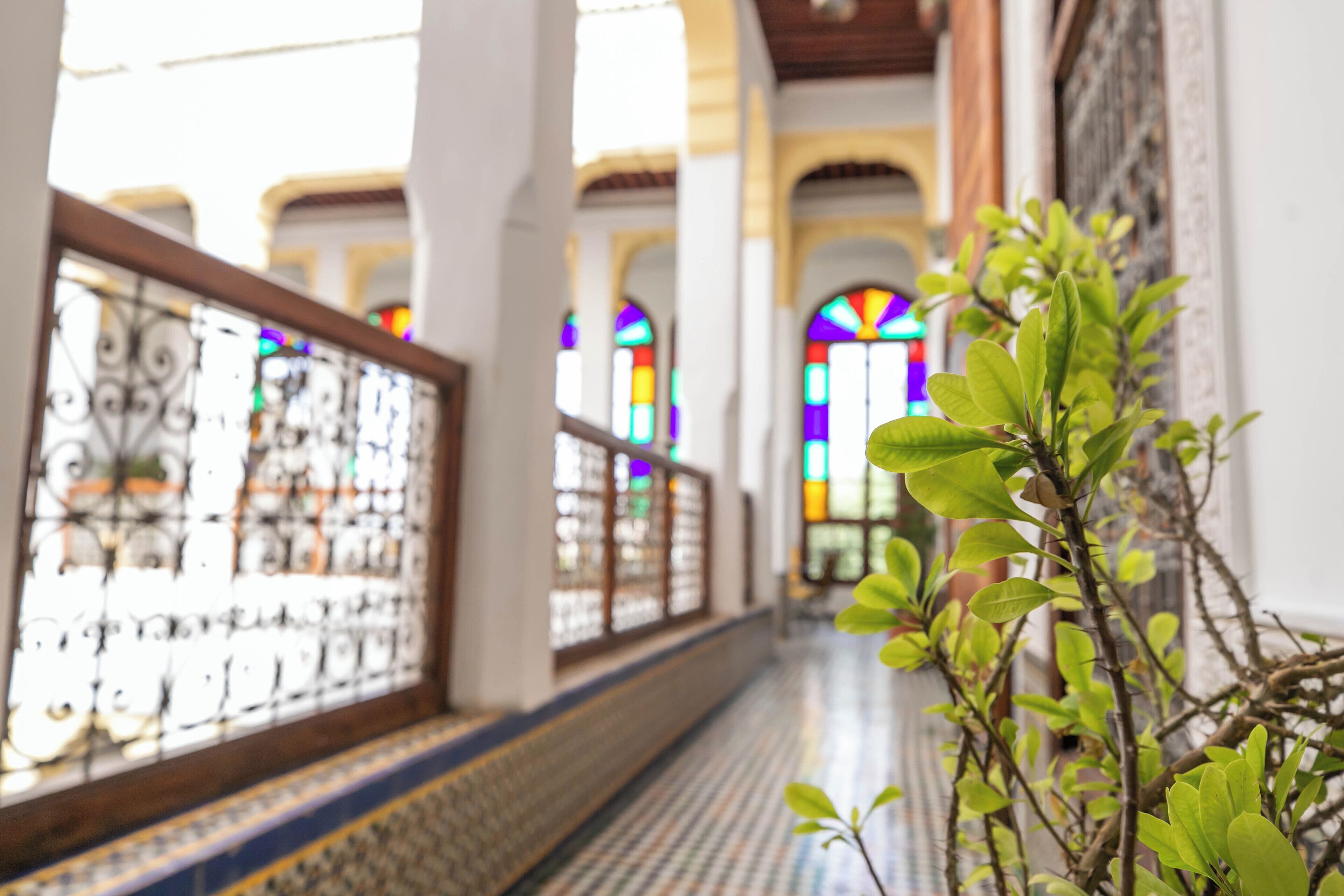 A corridor with patterned flooring, a railing, and a plant in the foreground.