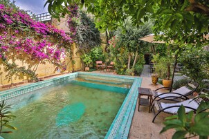 Piscina com bordas azulejadas, rodeada por vegetação exuberante e plantas em vasos.