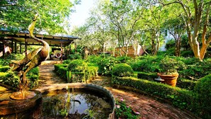 A garden with a pond, a wooden bridge, and a gazebo. - GardenSong B&B (Natchez)