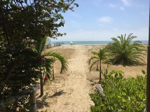 On the beach