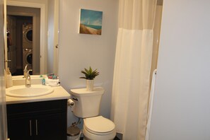 Un bany amb un lavabo, un vàter i una petita planta en maceta sobre la cisterna.