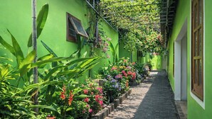 A narrow brick pathway flanked by vibrant green walls and lush tropical plants. - FORTUNE HOTEL 2 LUCKY STAY Phu Quoc (Phu Quoc)