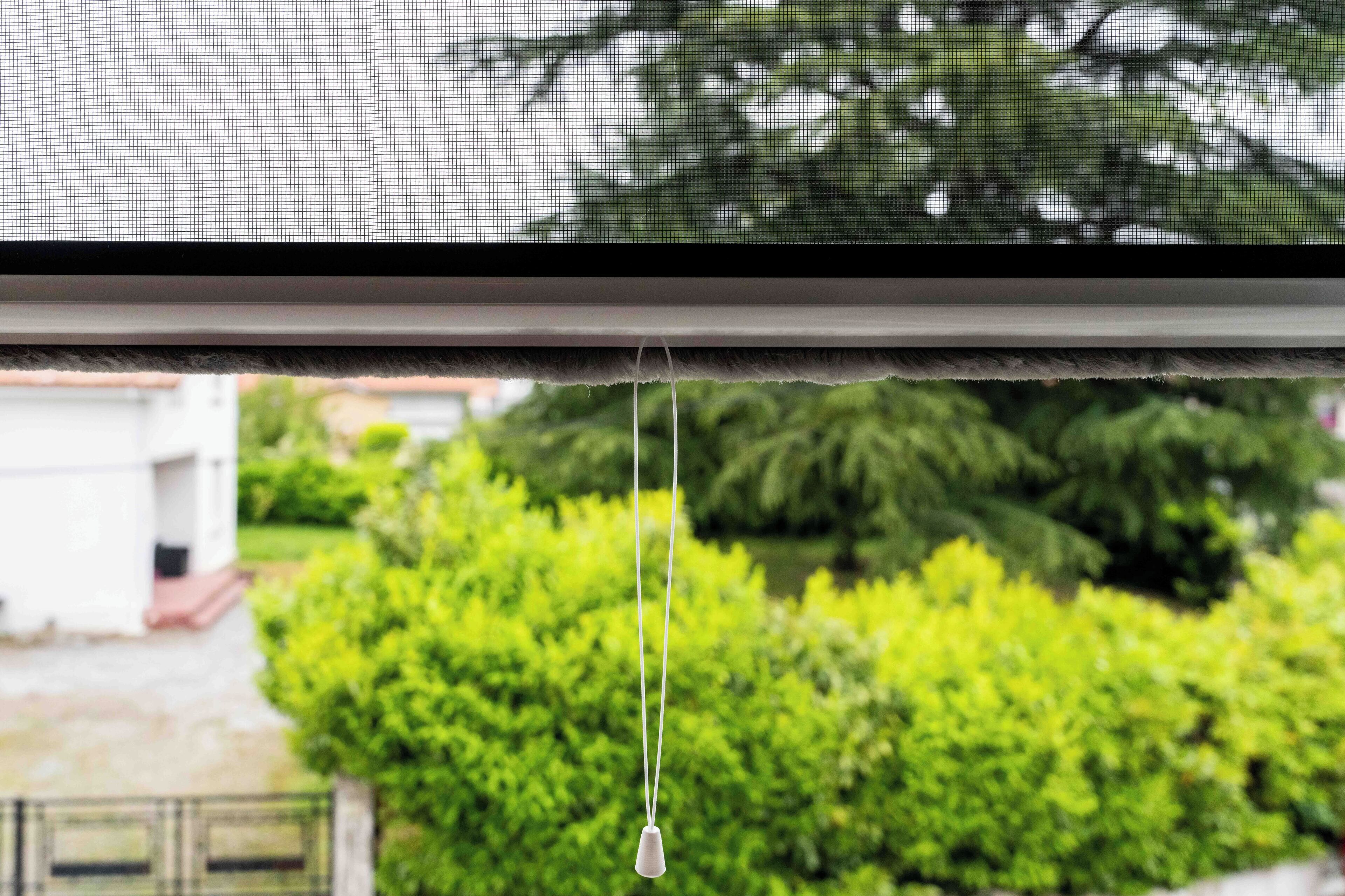 Ein Fenster mit Blick auf eine grüne Landschaft, ein weißes Gebäude und einen Baum.