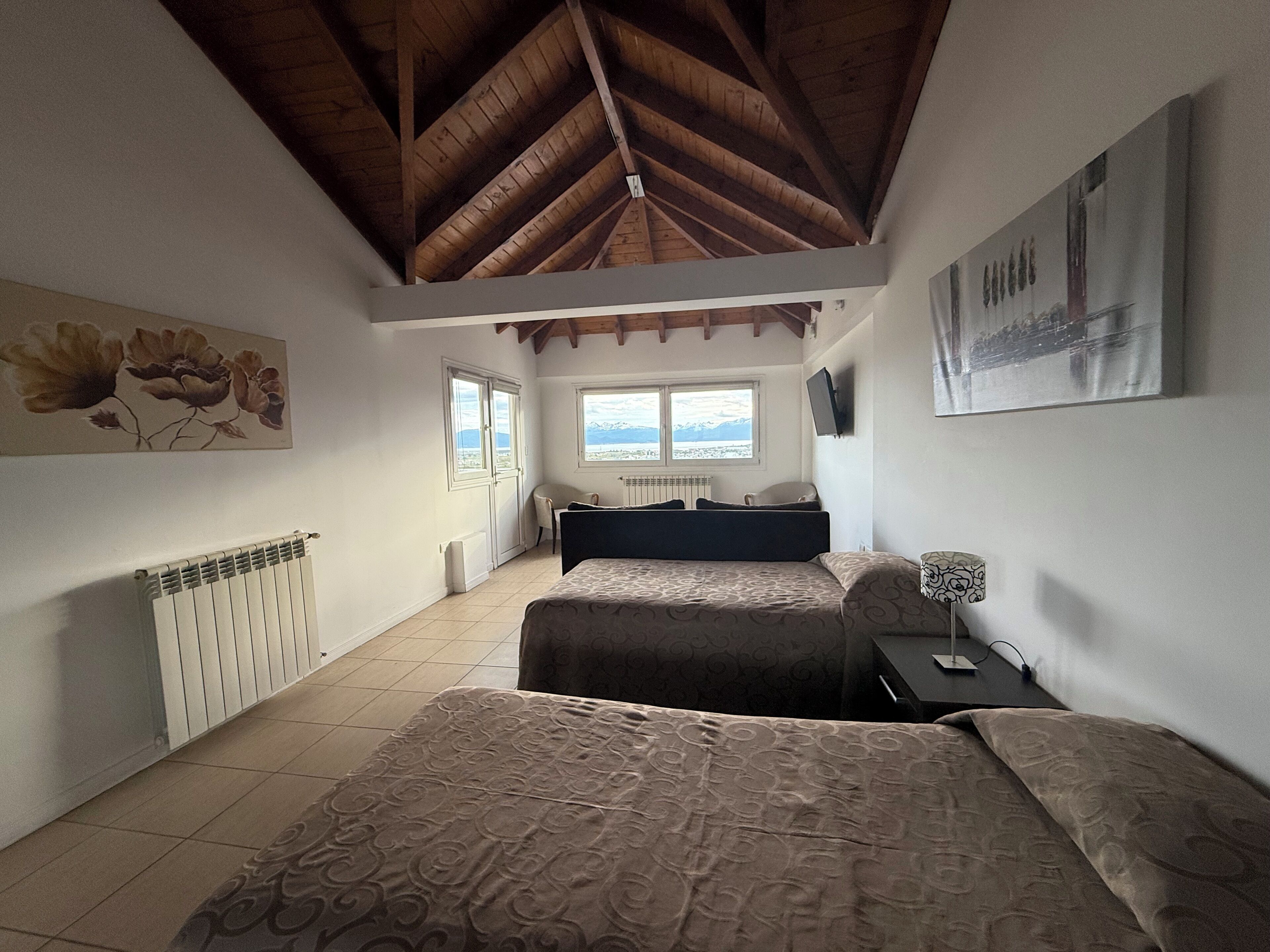 Televisión de pantalla plana, libros