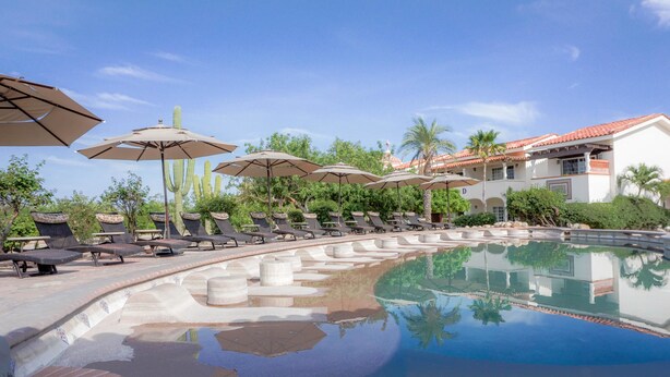A pool area with sun loungers and umbrellas, surrounded by cacti and palm trees, with a building in the background.