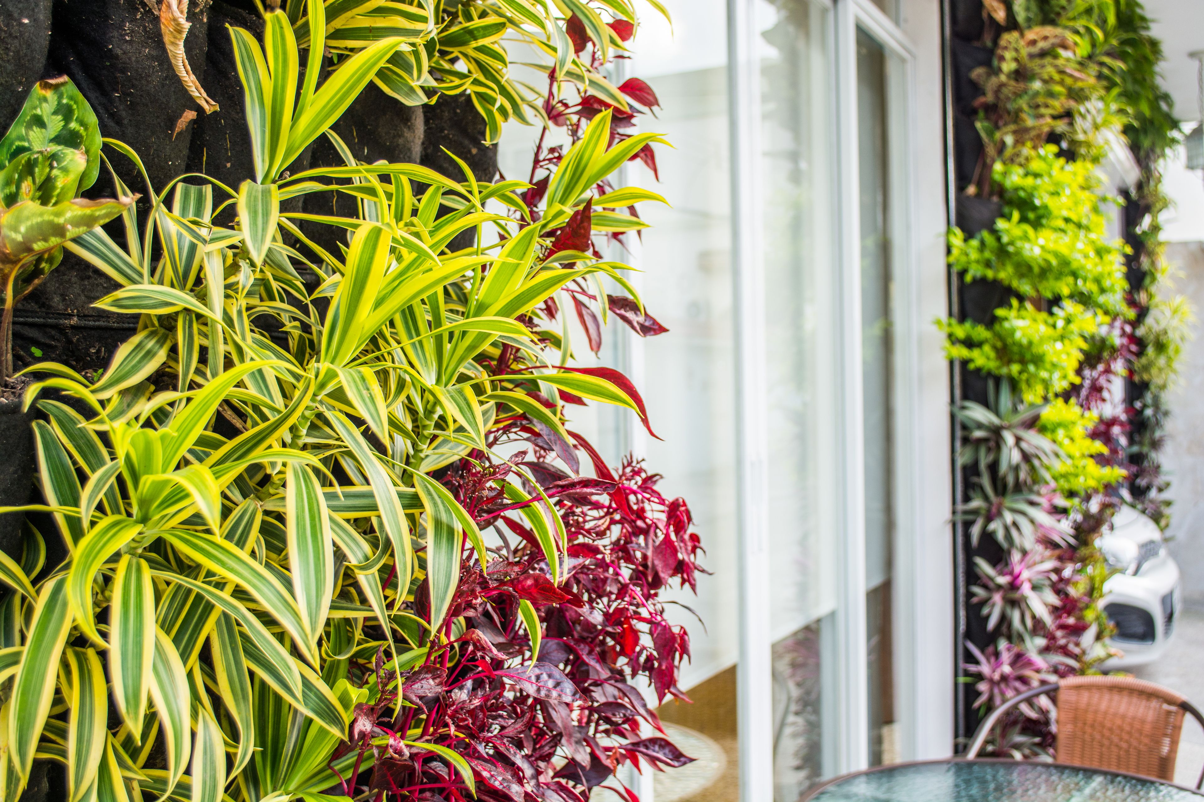 Photo - DC Suites Aeropuerto