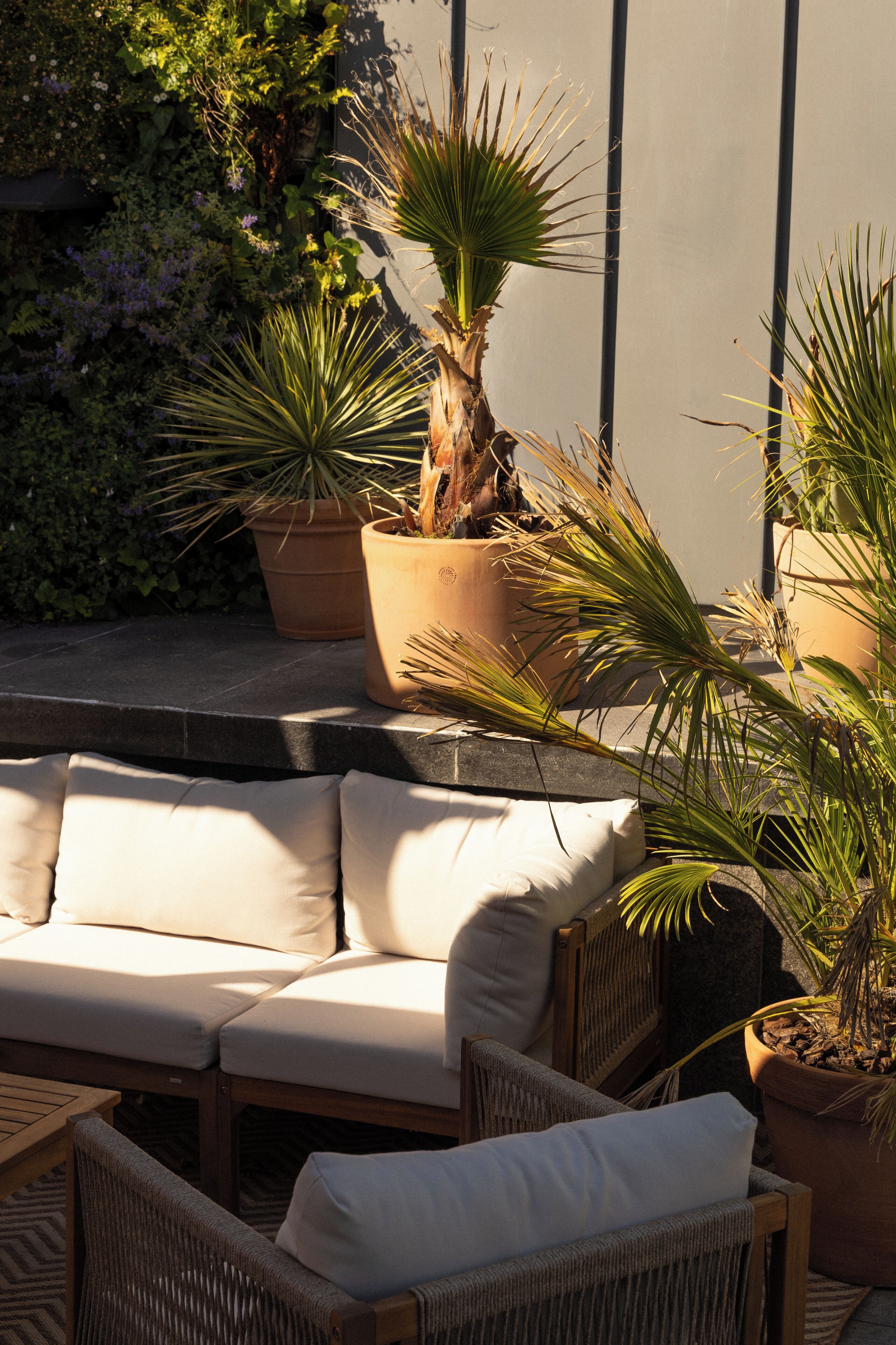 A sunlit outdoor seating area with a sofa and chairs, surrounded by potted plants.