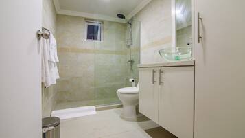 A bathroom with a glass-enclosed shower, a toilet, a sink with a glass basin, and a window.