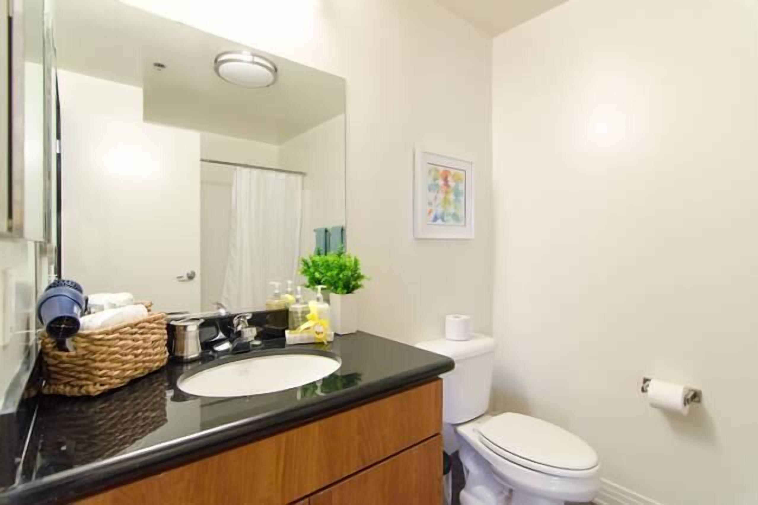 A bathroom with a black countertop, white sink, and a white toilet. There is a mirror above the sink and a framed picture on the wall.