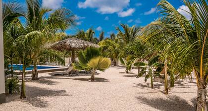 BEACHES ocean view apartments