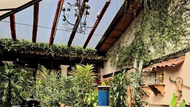 An indoor garden with a reflective water feature, potted plants, and a rustic wooden structure. - Hotel San Luis (San Cristóbal de las Casas)