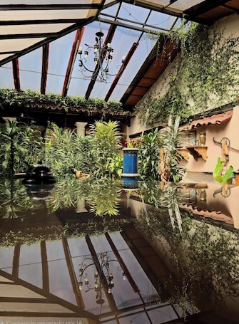 Reception. Hotel San Luis